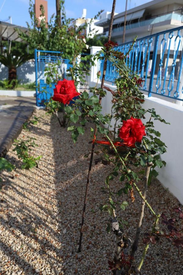Rhodes Town Garden Apartment Rhodes City Exteriör bild